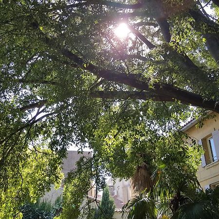 Hotel Spa Le Calendal Arles Exterior foto