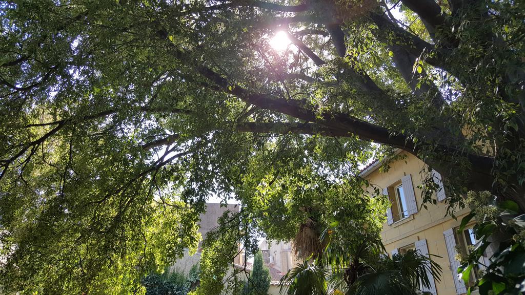 Hotel Spa Le Calendal Arles Exterior foto