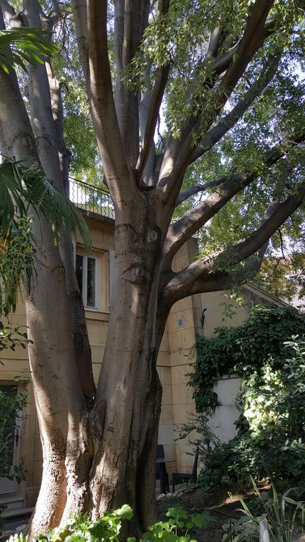 Hotel Spa Le Calendal Arles Exterior foto
